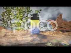 POCO BL10000 재충전 할 수 있는 일회용 바이프 20ml 5% Nic 650mAh 메쉬 코일 과일 펄버스