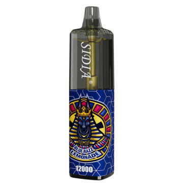 운송 패키지 1 년 동안 18ml E Juice 와 함께 큰 파프 Vape 박스