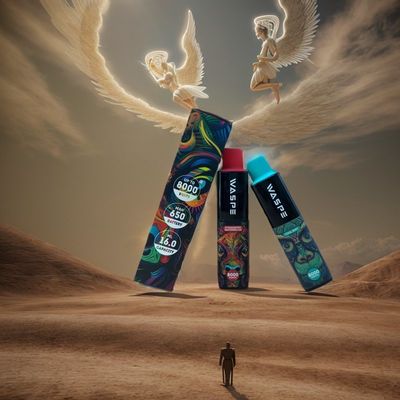 TT/paypal/Western Union 결제 방법에 대한 12ML E- 액체와 함께 110g 일회용 Vape 펜