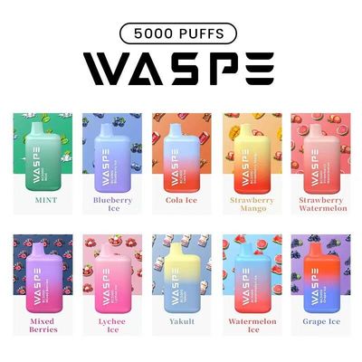 와스페 5000푸프 E 담배 일회용 와이프 13ML 2%/3%/5% 니크 650mAh 재충전
