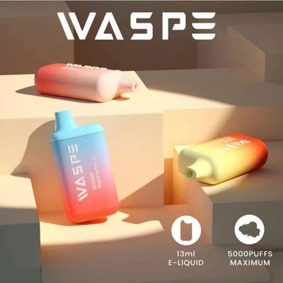 수염 5000 재충전 가능한 Vape Mesh 5000 Puffs까지 코일 5% 일회용 vape