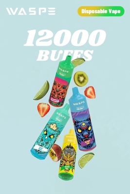 12000Puffs 일회용 Vaping 펜 20ML E 액체로 큰 Vaping 필요를 위해