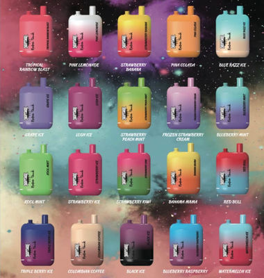 듀얼 탱크 650mAh 과일 맛 vape 키트 1.2ohm 저항 코일