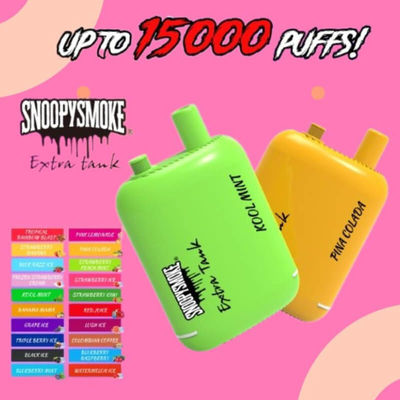 미국 바이프 듀얼 탱크 15000 펌프 650mAh C 타입 재충전 배터리 1.2ohm 메시 코일 E 액체 키트