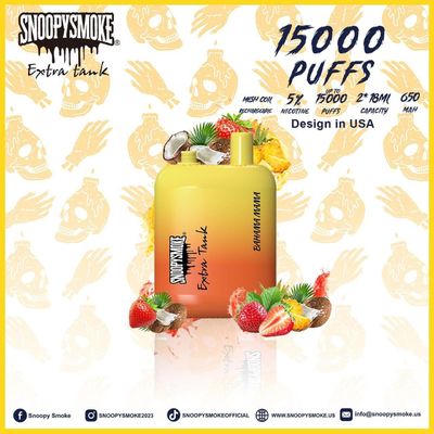 15000파프 과일 맛 바이프 듀얼 18mL 배터리 650mAh C형 재충전 배터리