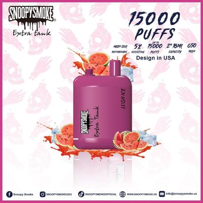 C형 재충전 배터리 듀얼 탱크 과일 맛 vape 키트 - 15000 파프 - 18mL E 액체