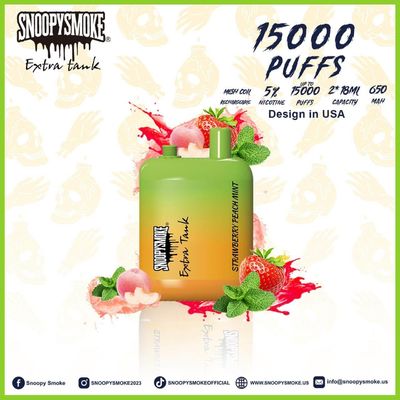 C형 재충전 배터리 듀얼 탱크 과일 맛 vape 키트 - 15000 파프 - 18mL E 액체